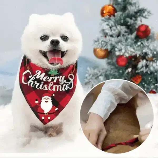 Bandana, vianočný šál pre psov